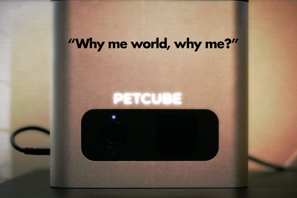 A silvery appliance, with the title "Petcube", and the quotation "Why me world, why me?"